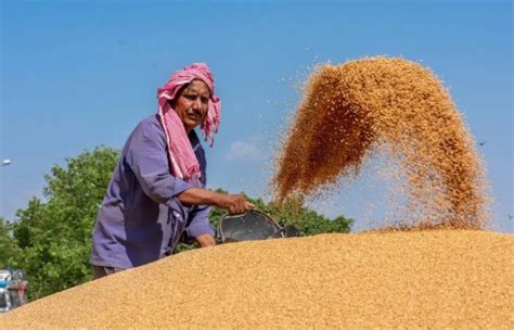 Foodgrain Output Seen At Record Million Tonnes In Crop