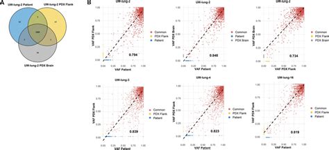 Conservation Of Patient Derived Xenografts Pdxs Mutational Landscape