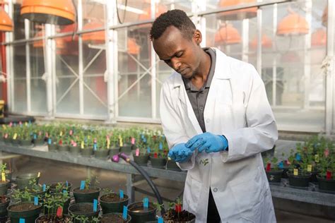 Compassion Graduate Becomes A Plant Pathologist