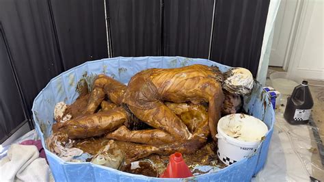 Free Sploshing Porn Videos XHamster