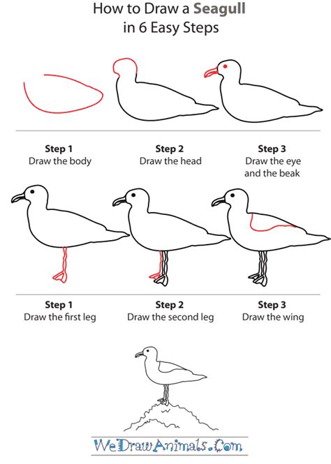 How To Draw A Seagull