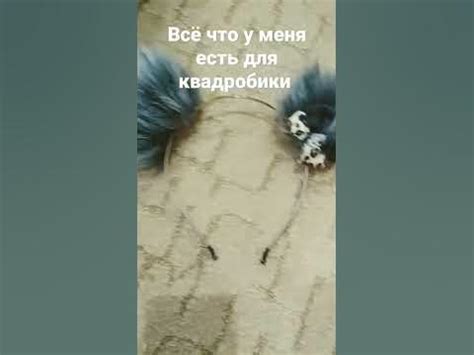 всё что у меня есть для квадробики маска,хвост,ушки, значок - YouTube