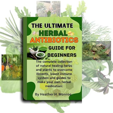 The Ultimate Herbal Antibiotics Guides For Beginners The Complete