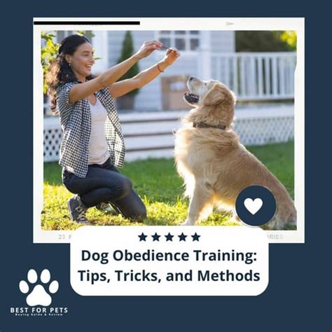 Dog Obedience Training: Tips, Tricks, and Methods