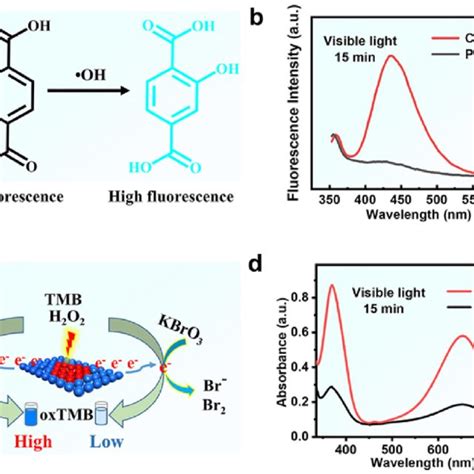 The Peroxidase Mimicking Activity Of Pd NSs A B Typical UV Visible