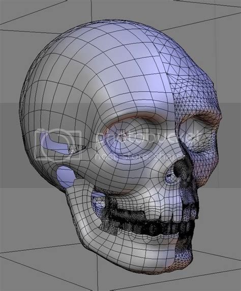 Sculpt Mode Test - Skull - Works in Progress - Blender Artists Community