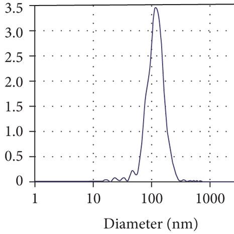 Characterization And Mirna Composition Of Adsc Exos A Electron