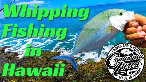 Surface Whipping Fishing Technique Fishing In Hawaii Hawaii Fishing