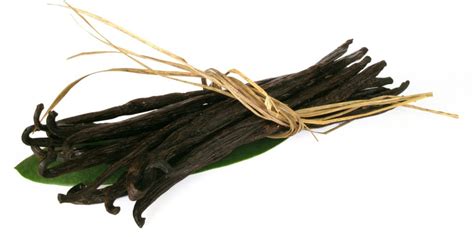 Vanille BV - Vanilla Beans Papua New Guinea | 1-2-Taste EU