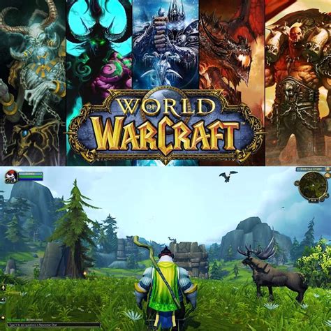 fully enjoy world  warcraft gaming  media