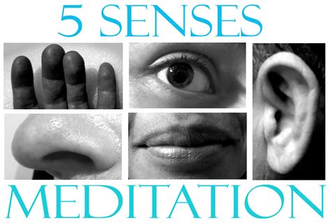 Mojo Simple 5 Senses Meditation