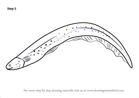 Learn How to Draw an Electric Eel (Fishes) Step by Step : Drawing Tutorials