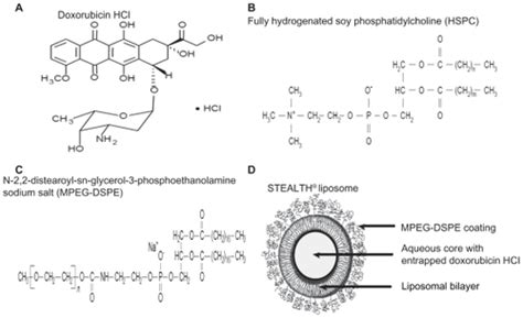 Full Article Pegylated Liposomal Doxorubicin In The Management Of