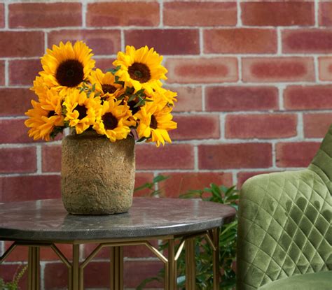 Tips For Keeping Sunflowers Alive Darcey Flowers