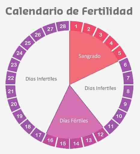 Calculadora De Dias Fertiles Manjitammaar