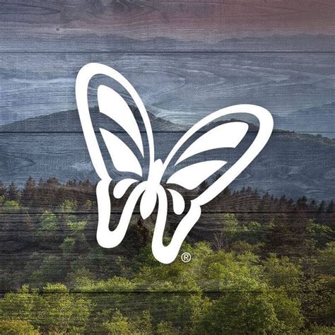 Dollywood Butterfly Tattoo Sticker | Vinyl Crafts