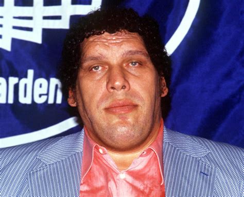 This is Huge! 6 Fascinating Facts About Andre the Giant - Biography