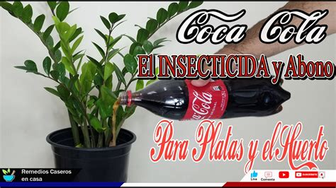 Coca Cola El Incre Ble Insecticida Y Abono Para Las Plantas Y El