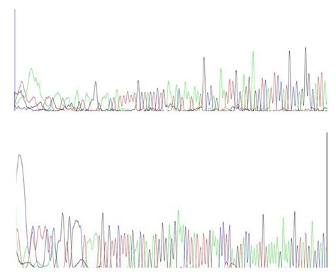 Sequencing Analyses To Validate Next Generation Sequencing NGS