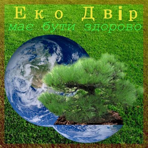 Еко-Двір Червоноград. Екологічні засоби для дому