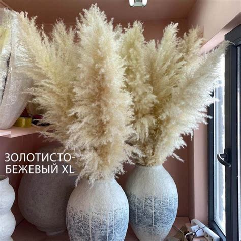 Интернет-магазин сухоцветов и пампасной травы - OBJECTS