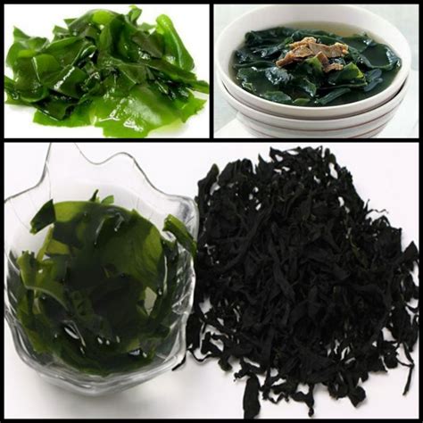 Jual MURAH Wakame Rumput Laut Kering 10gr Wakame Dry Seaweed Cut