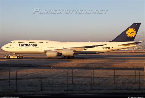 D ABYL Lufthansa Boeing 747 830 Photo By Spotterfreund ID 916189