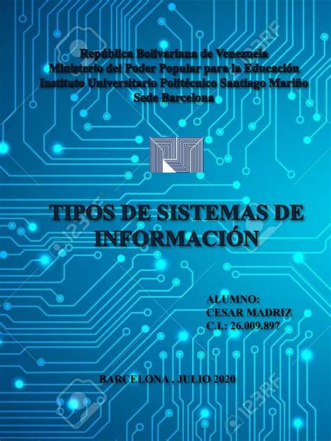 Tipos De Sistema De Informacion Pdf