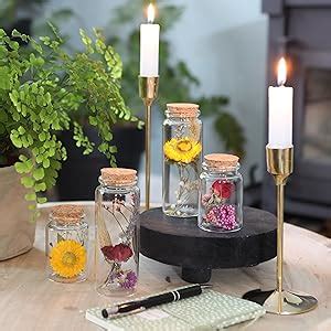 Comforder Trockenblumen Im Glas Mit Korken Er Set Getrocknete Blumen