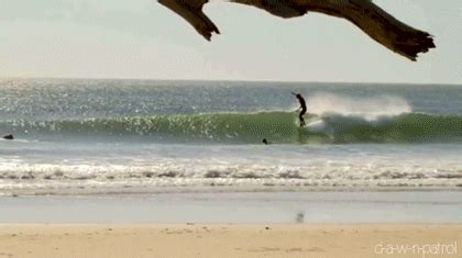 surfing - Reaction GIFs