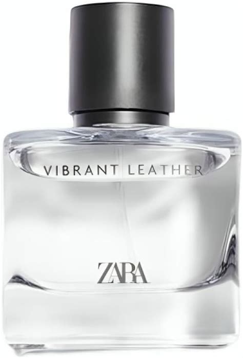 Amazon Zara Bogoss Vibrant Leather Edp Eau De Parfum Cologne For