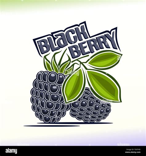 Vector logo for blackberry Stock Vector Image & Art - Alamy