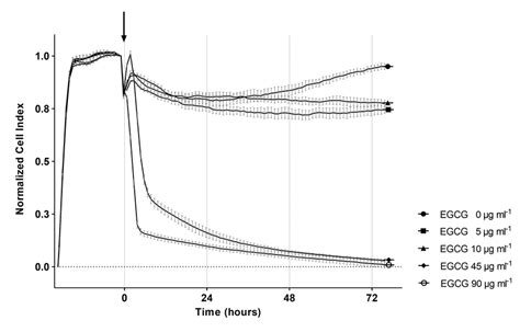 Cytotoxicity Of Egcg For Mouse Bone Marrow Derived Macrophages