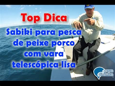 Top Dica Sabiki Para Pesca De Peixe Porco Vara Telesc Pica Lisa