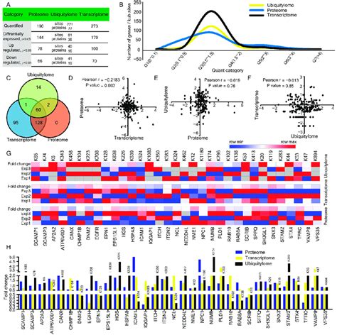 Comparison And Correlation Of Transcriptome Proteome And Ubiquitylome