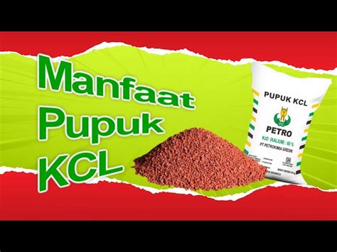 Temukan Manfaat Pupuk KCl Yang Jarang Diketahui