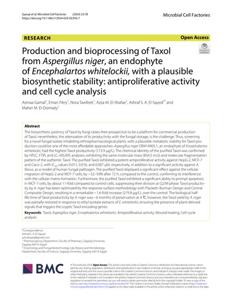 PDF Production And Bioprocessing Of Taxol From Aspergillus Niger An