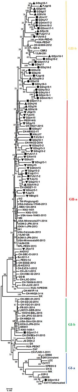 Frontiers Molecular Characteristics And Pathogenicity Of Porcine