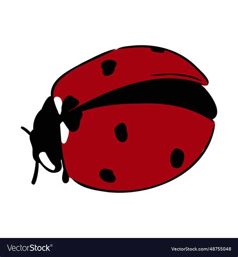 Hand drawn ink sketch of ladybug Royalty Free Vector Image