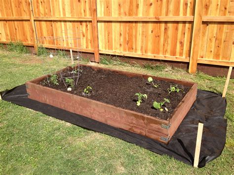 Vegetable Garden Box Ideas Hawk Haven