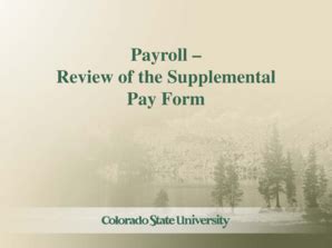 Fillable Online Tilt Colostate Payroll Review Of The Supplemental Pay