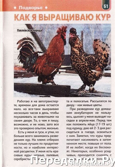 Сезон у дачи № 12 2020 * Переделки.РуПеределки.Ру