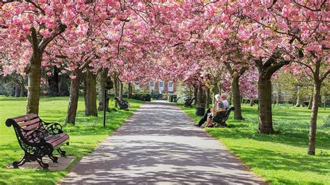 É encantadora a cidade de Londres na primavera London park Flowers