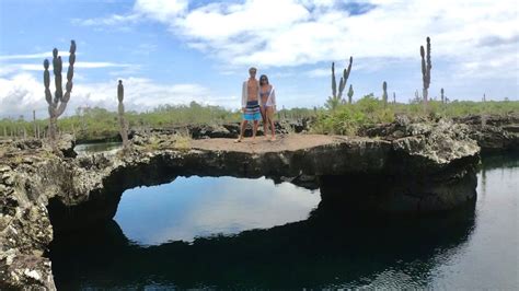 Isabela Agencia Darwin Scuba Dive Tours Diarios En Las Islas