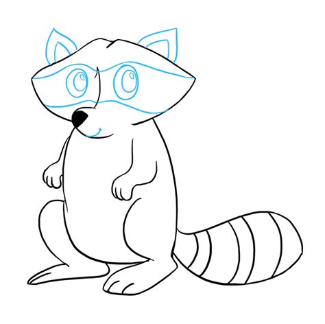 Raccoon Drawing Easy At Explore Collection Of