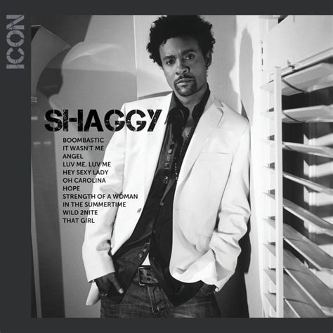 Shaggy – It Wasn't Me Lyrics | Genius Lyrics