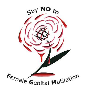 allies network female genital mutilation fgm