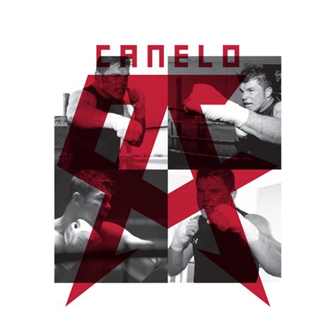 CANELO ALVAREZ UNDER ARMOUR 2013 - 2014 on Behance