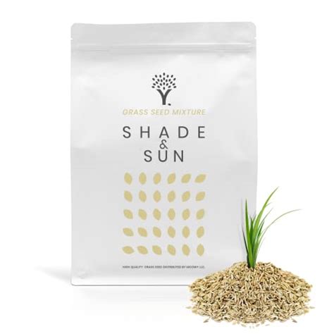 Top 10 Shade Grass Seeds of 2022 - Best Reviews Guide