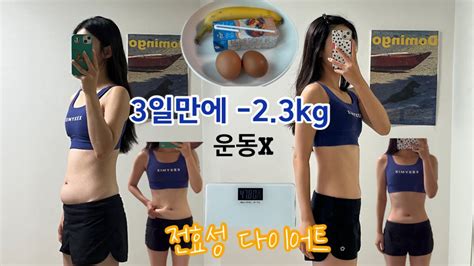 Vlog 전효성 다이어트 운동없이 3일만에 23kg 감량 급찐급빠 성공 연예인 단기 다이어트 도전기 삶은계란